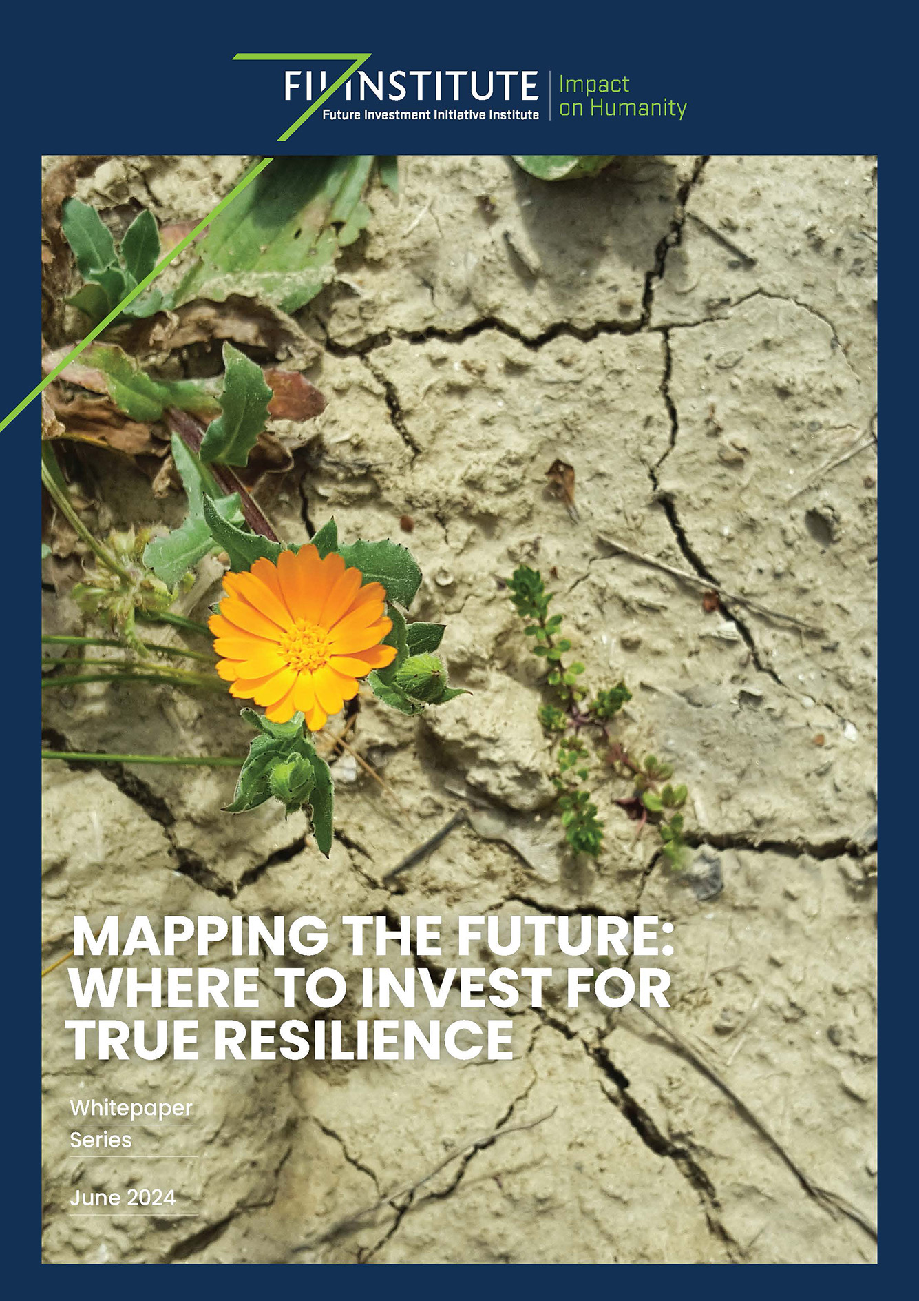 Where to Invest for True Resilience